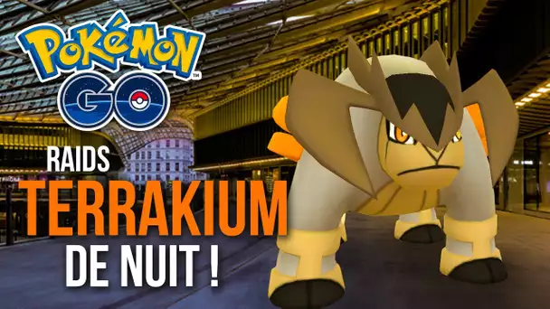 Raids Terrakium de nuit ! - Pokémon GO