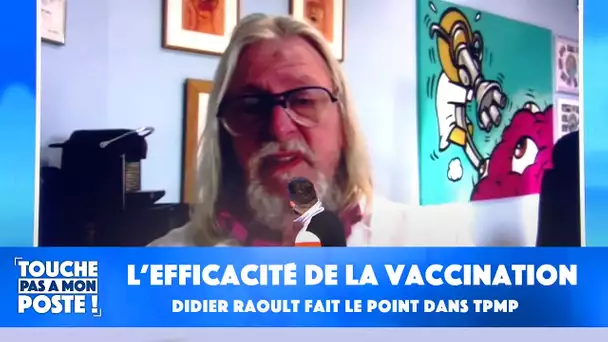 Le Professeur Didier Raoult fait le point sur l'efficacité de la vaccination dans TPMP !