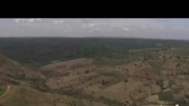 Kenya : forêt Mau, nuages