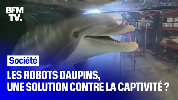 Les robots dauphins, une solution contre la captivité ?