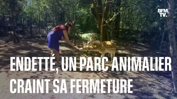 Dordogne: endetté, un parc animalier craint de devoir fermer et d'euthanasier ses animaux