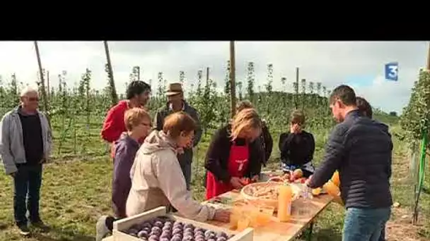 Les 'Vergers ouverts' eco-responsables de Lignières-de-Touraine