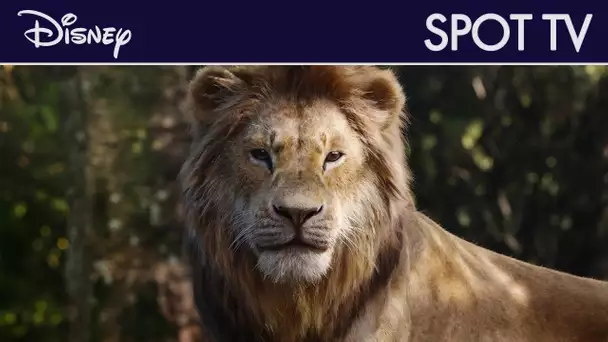Le Roi Lion (2019) - Actuellement au cinéma | Disney