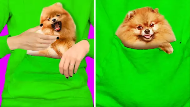 23 ASTUCES ADORABLES POUR ANIMAUX DE COMPAGNIE