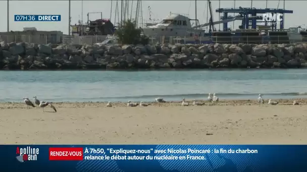 Un véliplanchiste retrouvé vivant après plus de 18h passées à dériver en Méditerranée
