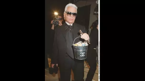 Karl Lagerfeld : Ce célèbre businessman à qui il a vendu sa somptueuse maison sur une côte de plus