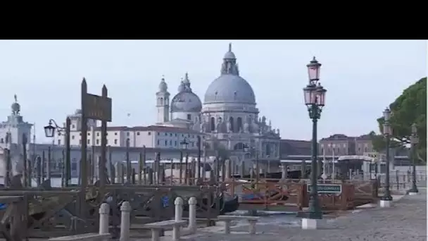 MEDITERRANEO – A Venise, le travail des bénévoles pour préserver l’écosystème de la lagune.