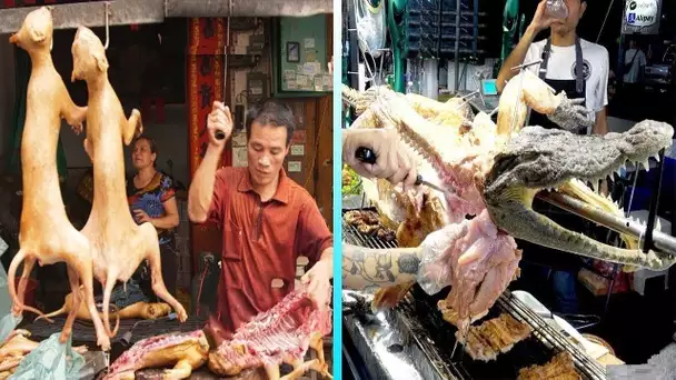 EN CHINE, ÇA SE MANGE ! … PLATS LES PLUS BIZARRES QUE VOUS TROUVEREZ EN CHINE ET EN THAILANDE