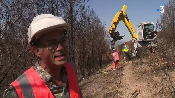 Incendie de l'Aude : visite du colossal chantier de remplacement de la ligne électrique d'Ornaisons