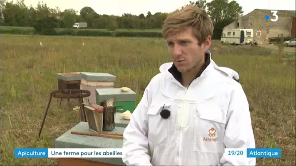 Périgny (17 : une cagnotte pour la construction d'une ferme apicole