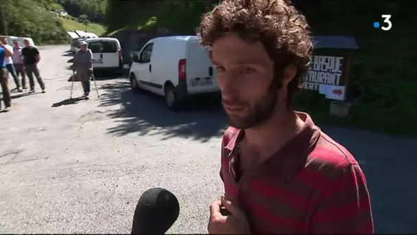 Craignant de nouvelles attaques de l'ours les bergers de Cauterets descendent les brebis