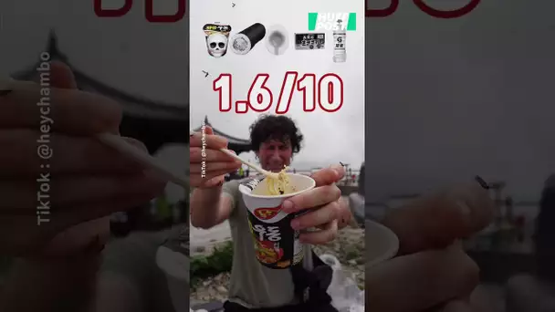 Il y a tellement de mouches en Corée du Sud que ce Youtubeur en a fait un steak haché