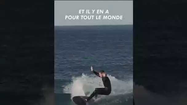 Des nouveaux surfs Zeus sont dispos sur notre shop et il y en a pour tous les goûts 😍