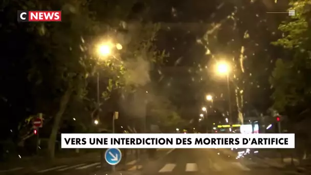 Vers une interdiction des mortiers d'artifice