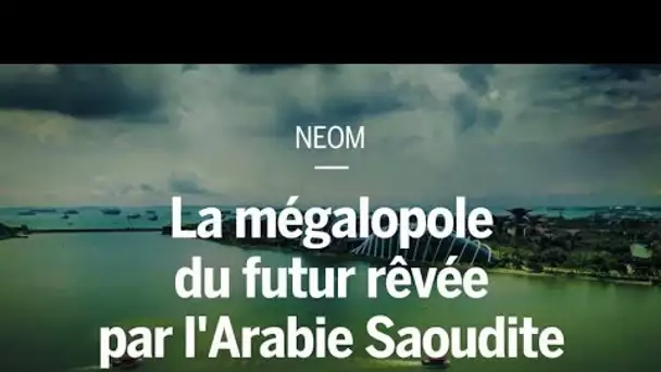 NEOM : la mégalopole du futur rêvée par l'Arabie Saoudite