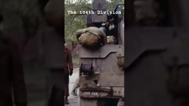 Timberwolves - The 104th Division - #ww2 #military #history