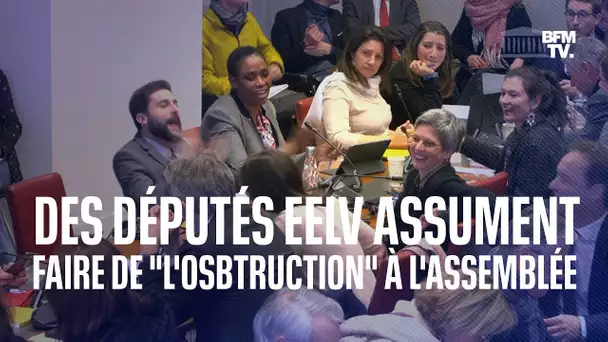 À l'Assemblée, les députés EELV assument faire de "l'obstruction" pour "être l'écho de la rue"