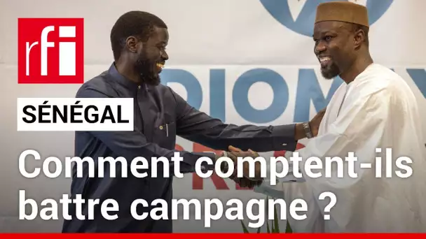 Sénégal : Ousmane Sonko et Bassirou Diomaye Faye libérés  et maintenant ? • RFI