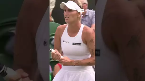 🤯 Les incroyables tatouages sur les bras de #Vondrousova, quart de finaliste de #Wimbledon !