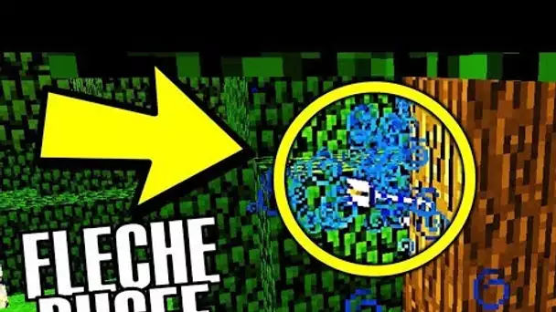 24 GLITCHS INCROYABLES QUI EXISTENT ENCORE DANS MINECRAFT 1.14