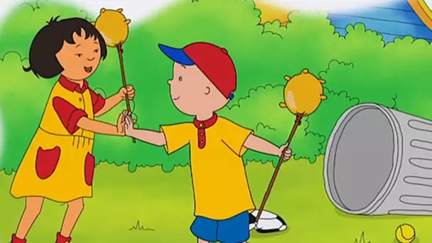 Jeux dans le jardin | Caillou en Français