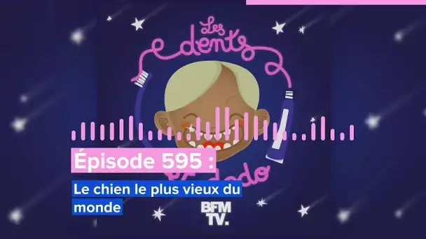 Les dents et dodo - “Épisode 595 : Le chien le plus vieux du monde”