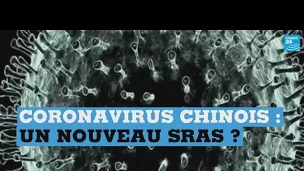 Coronavirus chinois : faut-il craindre un nouveau Sras ?