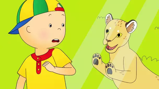 Caillou en Français | Caillou Dans Le Zoo | dessin animé | dessin animé pour bébé | NOUVEAU