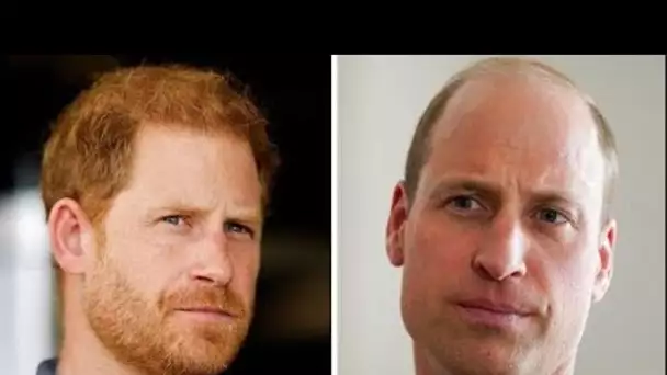 La prochaine rencontre du prince Harry avec le prince William "ne se reproduira pas de sitôt"