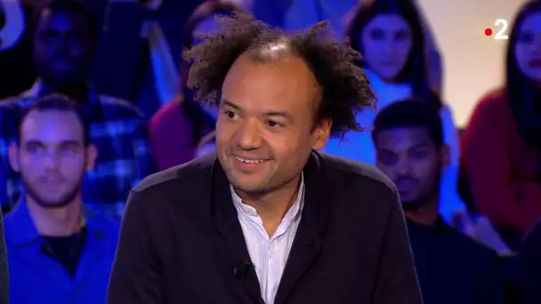 Fabrice Eboué - On n'est pas couché 21 décembre 2019 #ONPC