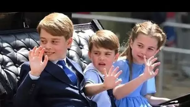 Les enfants de Cambridges pourraient partager leur passe-temps avec leurs cousins ​​Archie et Lilibe