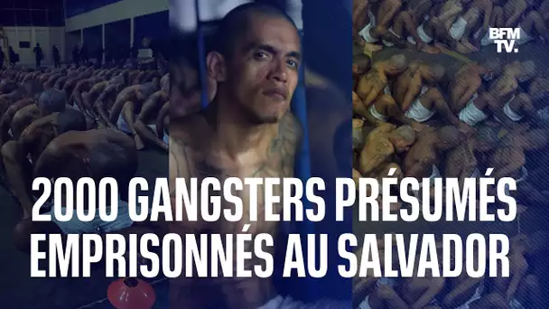 Salvador: 2000 gangsters présumés transférés en une journée dans la "plus grande prison d'Amérique"