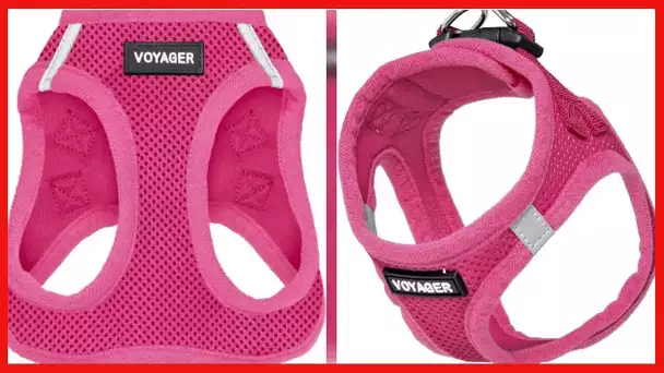 Voyager Step-in Air Dog Harness - All Weather Mesh Step in Vest Harness for Small and Medium Dogs