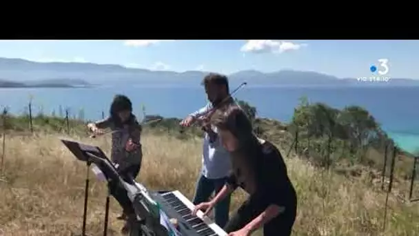 Confinement en Corse : s'évader avec Bertrand Cervera, violon solo à l'orchestre national de France