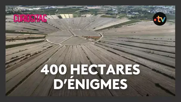 Étang de Montady : le paysage géométrique unique de l’Hérault