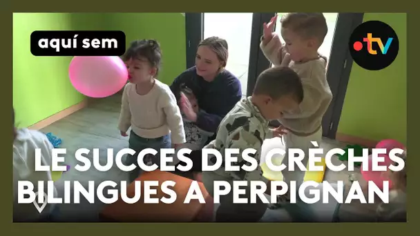 Le succès des crèches bilingues à Perpignan