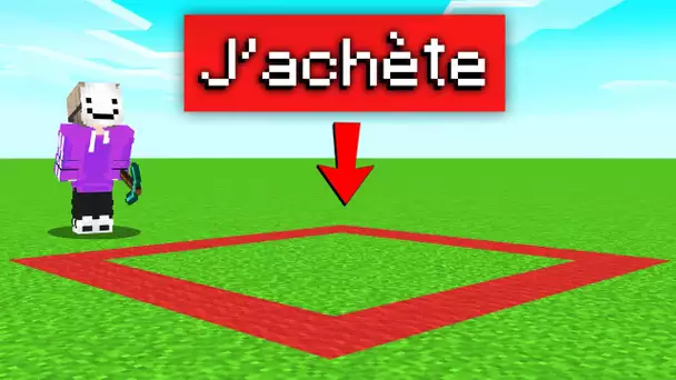 J'achète tout ce que vous consuisez dans ce rond sur Minecraft !