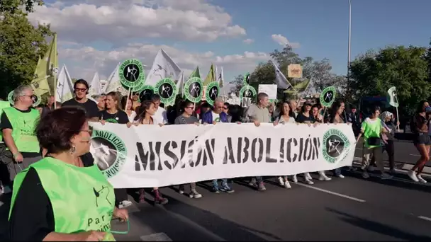 Espagne : vers la fin de la tauromachie ?