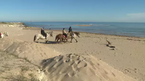 Prendre l'air à cheval sur les plages d'Oléron
