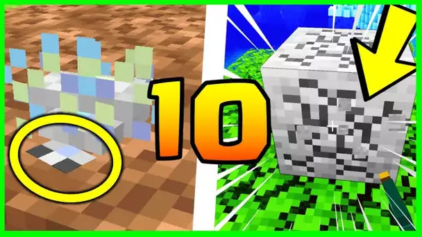 10 SECRETS SUR LE SILVERFISH MINECRAFT 1.18