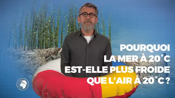 Pourquoi la mer à 20°C est-elle plus froid que l'air à 20°C ? 🥶 - #LaMinuteJamy