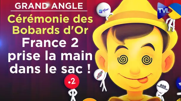 Cérémonie des Bobards d'Or 2023 : France 2 prise la main dans le sac ! - Le Grand Angle - TVL