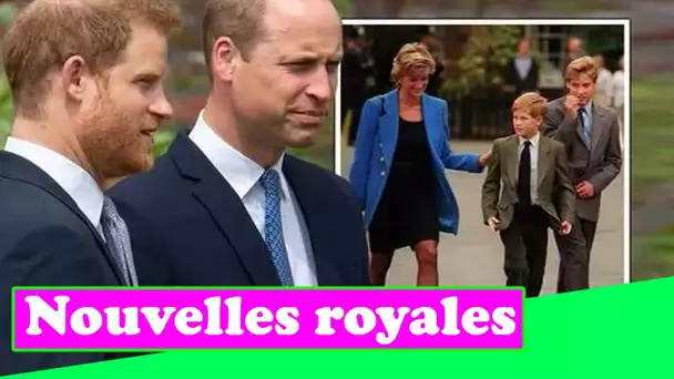 Famille royale EN DIRECT : « S'unir pour maman ! » William et Harry enterrent la hache de guerre pou