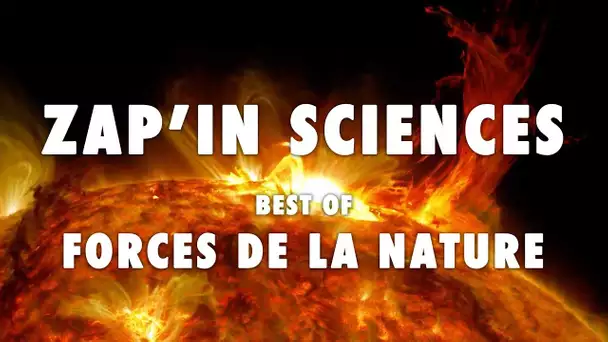 Zap'In Sciences : Forces de la Nature - L'Esprit Sorcier