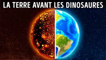 À quoi ressemblait la Terre avant les dinosaures ?