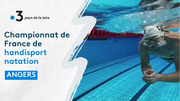 Handisport natation : championnat de France à Angers