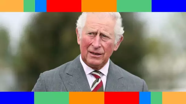 👑  Propos choc du prince Harry : le prince Charles fait une apparition discrète quelques heures apr
