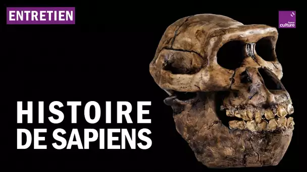 Pourquoi et comment Sapiens s’est-il imposé ?