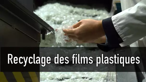 Le recyclage des films plastique à l’infini prend forme