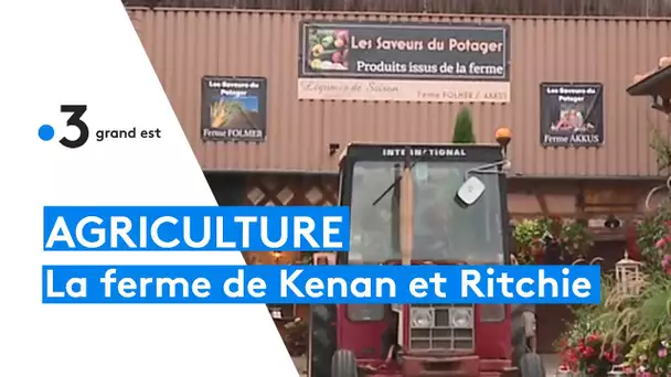 Portes ouvertes chez Kenan et Ritchie à Roeschwoog